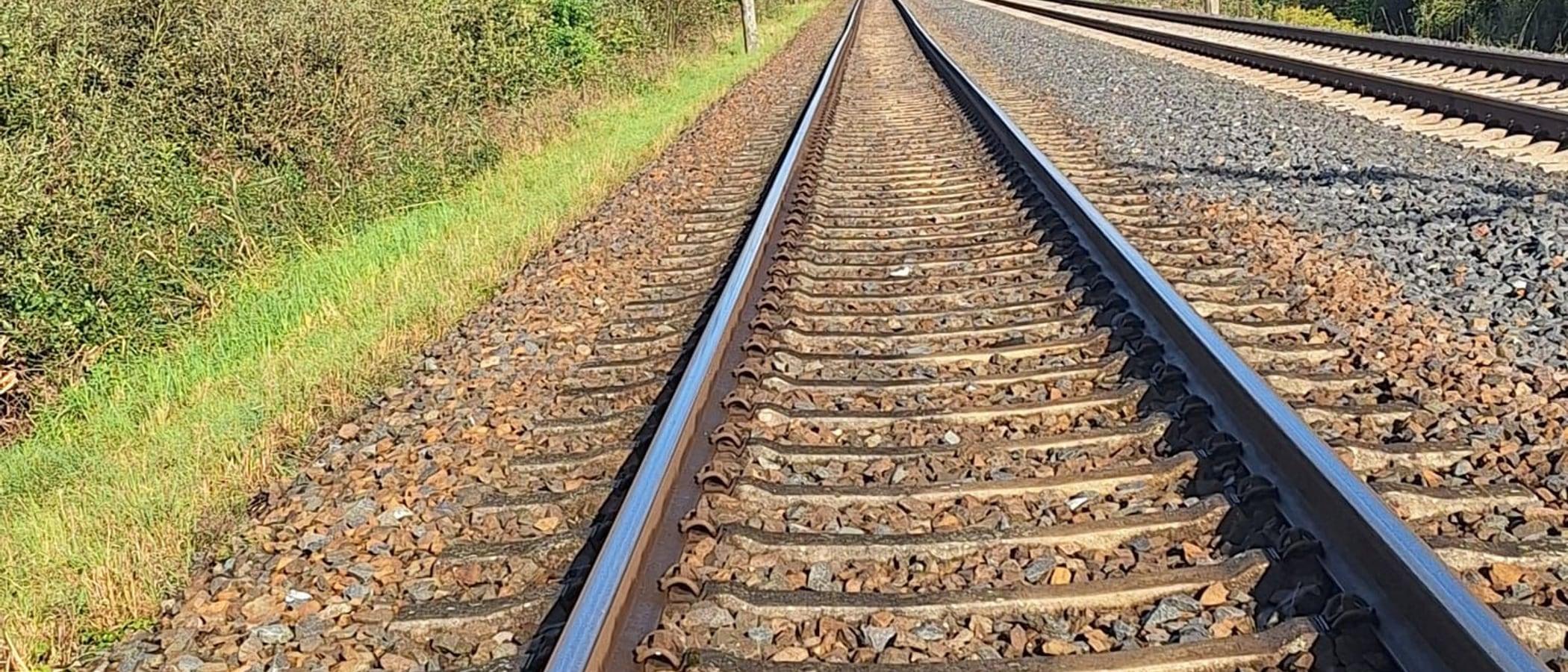 Gleisanlage mit Schienen, Schwellen und Schotterbett auf einer DB-Strecke